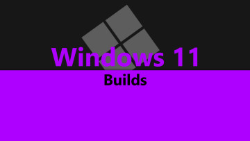 Windows 11 Builds written in the middle with an equally split black and purple background