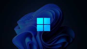 The Windows 11 logo with the stock wallpaper on the background