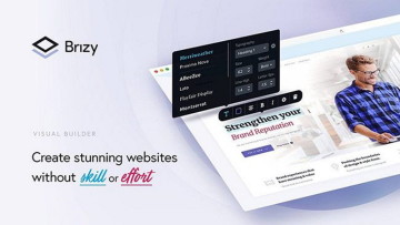 brizy wordpress website builder software