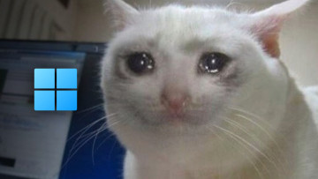 A sad cat next to a Windows 11 logo indicating disappointment