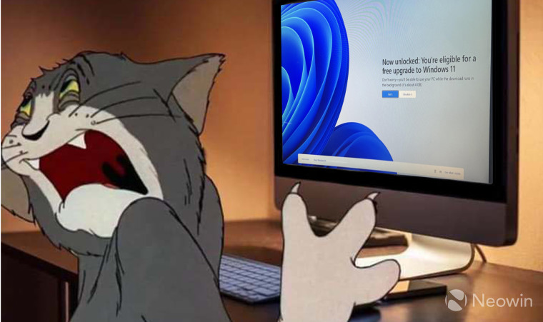 A tom cat turning away in disgust from a computer offering to install Windows 11