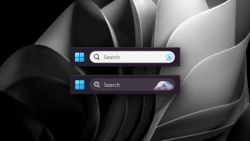 A screenshot of two different search boxes from Windows 11