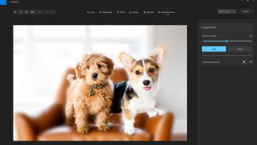 Screenshot showing background blur feature of Microsoft Photos in action