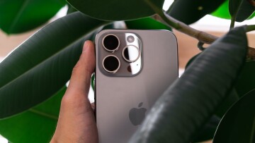 A image of iPhone 15 Pro with a plant